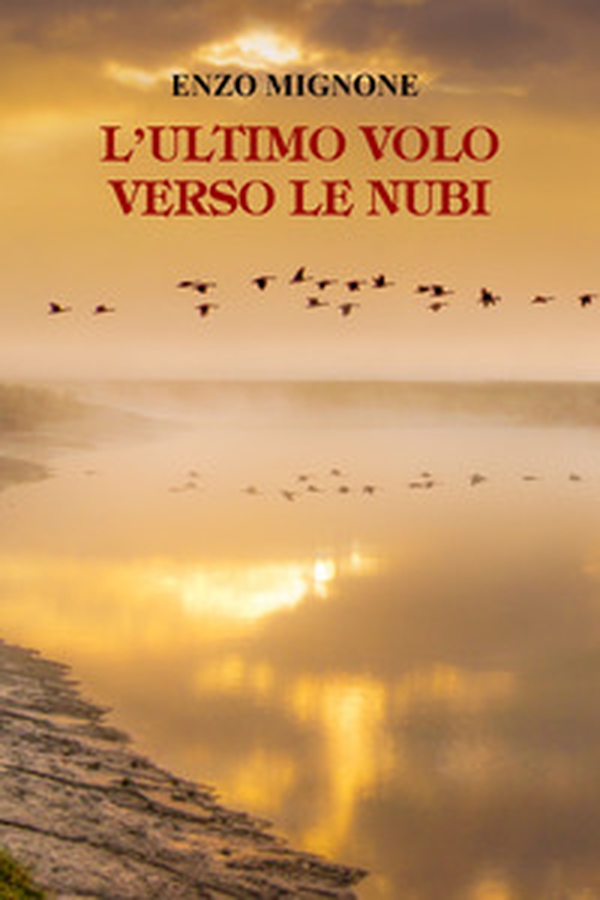 L'ultimo volo verso le nubi - Librerie.coop L'ultimo volo verso le nubi - Librerie.coop