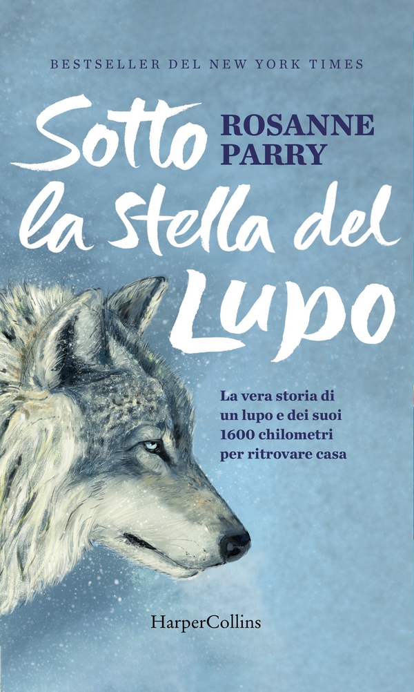 Sotto la stella del lupo - Librerie.coop Sotto la stella del lupo - Librerie.coop