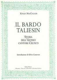 Il bardo Taliesin. Storia dell'ultimo cantore celtico - Librerie.coop