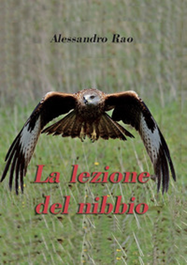 La lezione del nibbio - Librerie.coop La lezione del nibbio - Librerie.coop