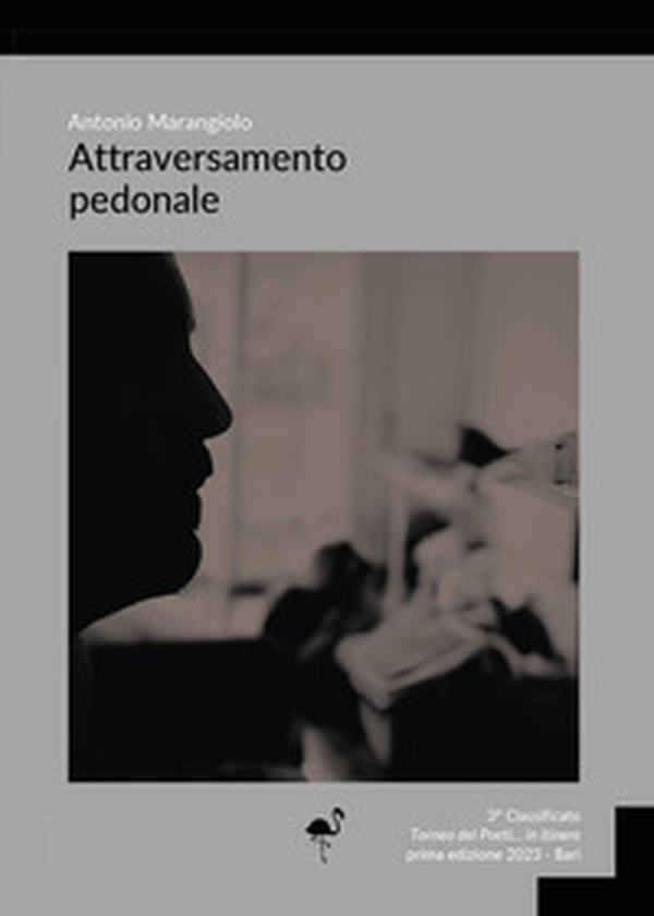 Attraversamento pedonale - Librerie.coop Attraversamento pedonale - Librerie.coop
