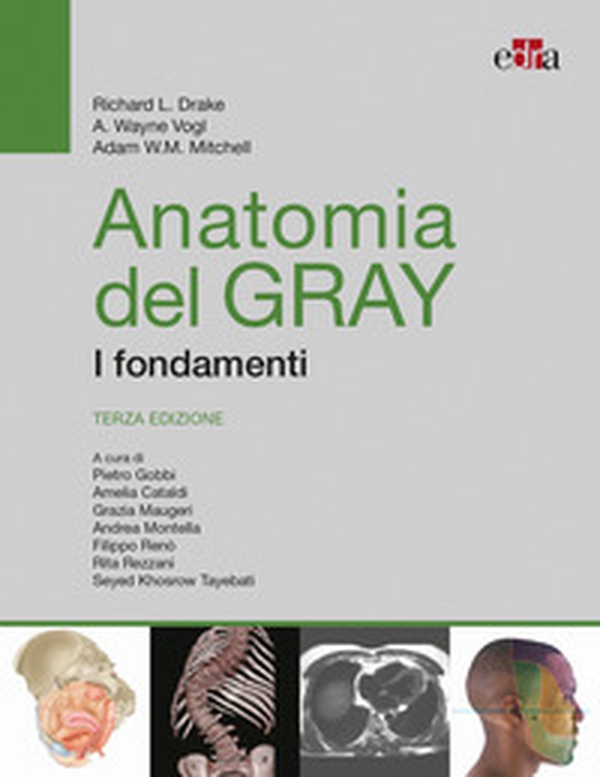 Anatomia del Gray. I fondamenti - Librerie.coop Anatomia del Gray. I fondamenti - Librerie.coop