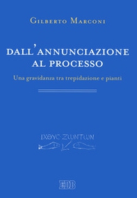 Dall'annunciazione al processo. Una gravidanza tra trepidazione e pianti - Librerie.coop