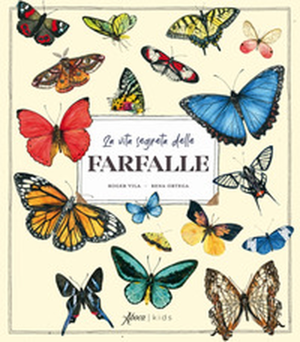 La vita segreta delle farfalle - Librerie.coop La vita segreta delle farfalle - Librerie.coop