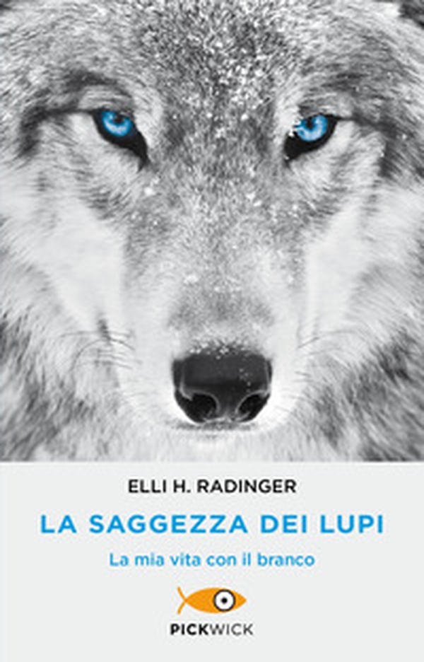 La saggezza dei lupi. La mia vita con il branco - Librerie.coop La saggezza dei lupi. La mia vita con il branco - Librerie.coop