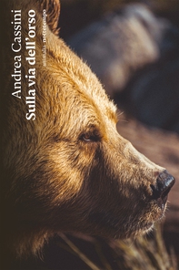Sulla via dell'orso - Librerie.coop