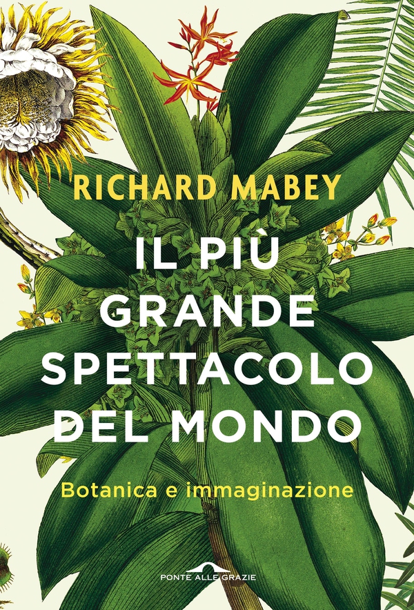 Il più grande spettacolo del mondo - Librerie.coop Il più grande spettacolo del mondo - Librerie.coop