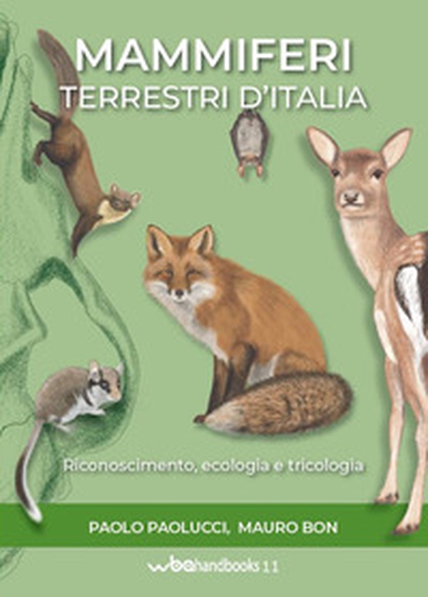 Mammiferi terrestri d'Italia - Librerie.coop Mammiferi terrestri d'Italia - Librerie.coop