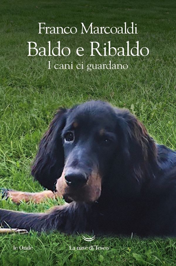 Baldo e Ribaldo. I cani ci guardano - Librerie.coop Baldo e Ribaldo. I cani ci guardano - Librerie.coop