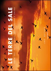 Le terre del sale. Delta del Po. Litorali, valli, lagune e saline - Librerie.coop