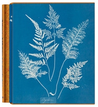 Anna Atkins. Cyanotypes. Ediz. inglese, francese e tedesca - Librerie.coop