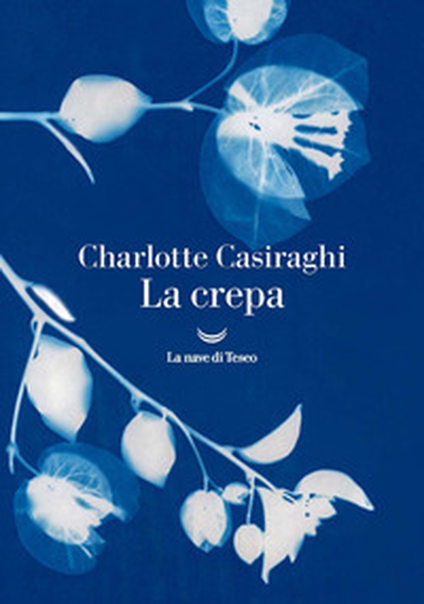 La crepa - Librerie.coop