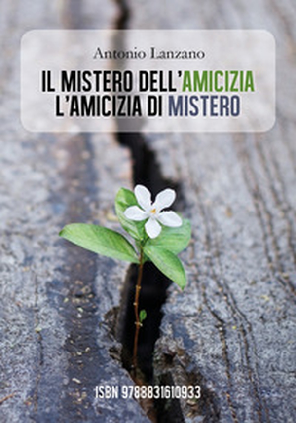 Il mistero dell'amicizia l'amicizia di mistero - Librerie.coop Il mistero dell'amicizia l'amicizia di mistero - Librerie.coop