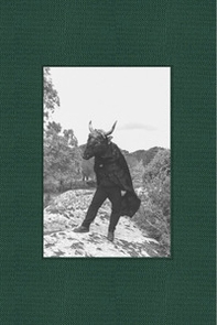 Gli ultrauomini. Terrestri d'Italia in contatto con altre dimensioni - Librerie.coop