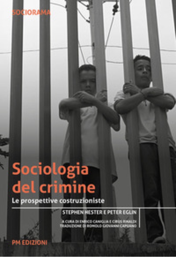 Sociologia del crimine. Le prospettive costruzioniste - Librerie.coop Sociologia del crimine. Le prospettive costruzioniste - Librerie.coop