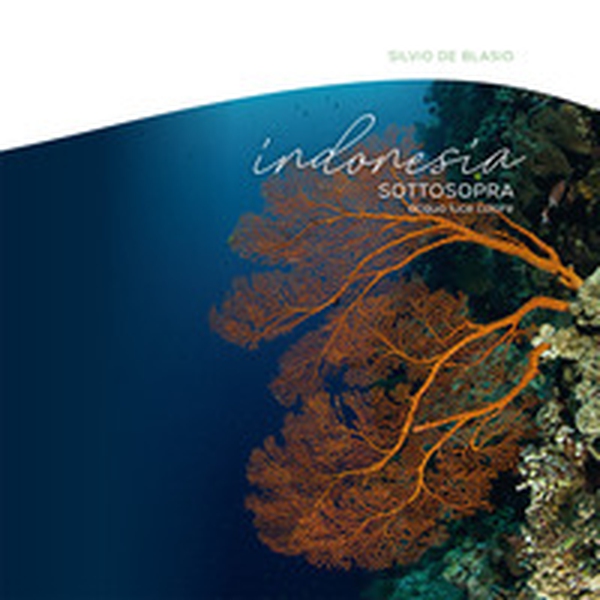 Indonesia sottosopra - Librerie.coop Indonesia sottosopra - Librerie.coop