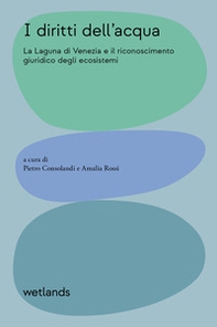 I diritti dell'acqua. La Laguna di Venezia e il riconoscimento giuridico degli ecosistemi - Librerie.coop