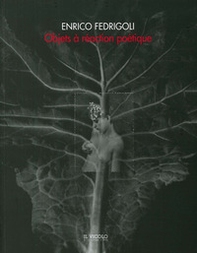 Enrico Fedrigoli. Objects à réaction poétique - Librerie.coop