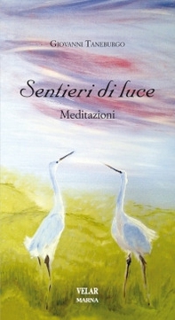 Sentieri di luce. Meditazioni - Librerie.coop