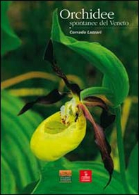 Orchidee spontanee del Veneto - Librerie.coop