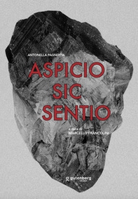 Aspicio sic sentio. Opere di Antonella Pagnotta - Librerie.coop