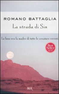 La strada di Sin - Librerie.coop