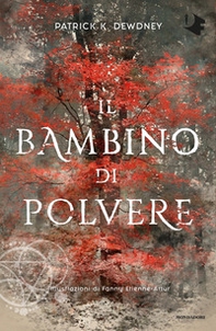 Il bambino di polvere - Librerie.coop Il bambino di polvere - Librerie.coop