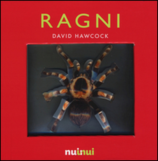 Ragni. Libro pop-up - Librerie.coop Ragni. Libro pop-up - Librerie.coop