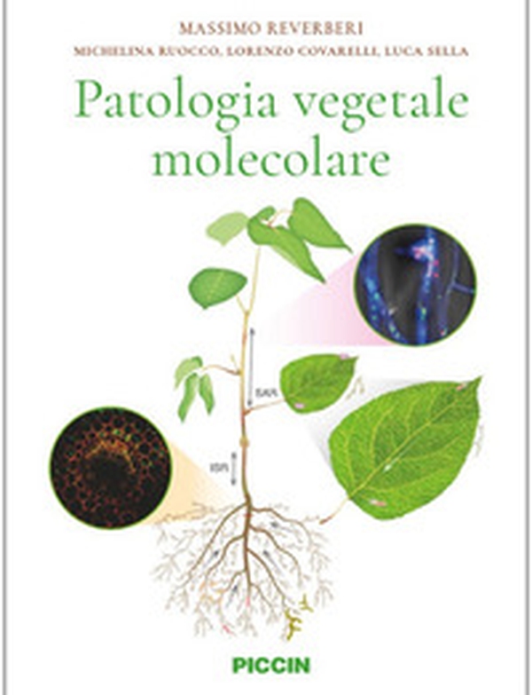 Patologia vegetale molecolare - Librerie.coop Patologia vegetale molecolare - Librerie.coop