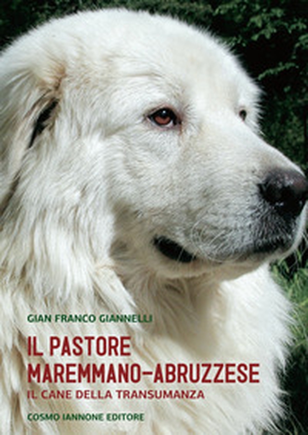 Il cane pastore maremmano/abruzzese. Il cane della transumanza - Librerie.coop Il cane pastore maremmano/abruzzese. Il cane della transumanza - Librerie.coop