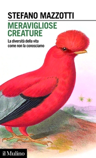 Meravigliose creature - Librerie.coop