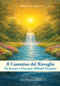 Il cammino del risveglio. Da Socrate a Omraam Mikhaël Aïvanhov - Librerie.coop