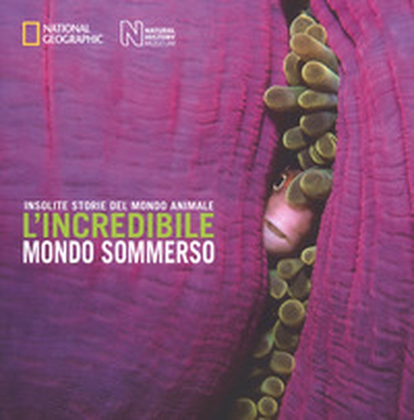 L'incredibile mondo sommerso. Insolite storie del mondo animale - Librerie.coop L'incredibile mondo sommerso. Insolite storie del mondo animale - Librerie.coop