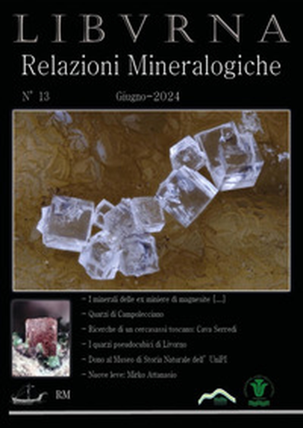 Relazioni mineralogiche. Libvrna - Vol. 13 - Librerie.coop Relazioni mineralogiche. Libvrna - Vol. 13 - Librerie.coop