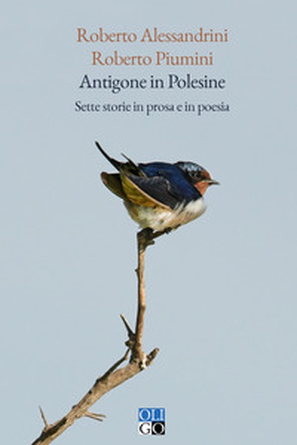 Antigone in Polesine. Sette storie in prosa e in poesia - Librerie.coop