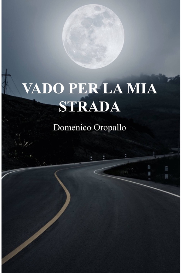 VADO PER LA MIA STRADA - Librerie.coop VADO PER LA MIA STRADA - Librerie.coop