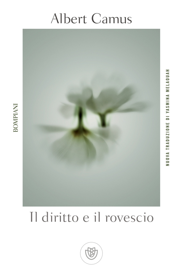 Il diritto e il rovescio - Librerie.coop Il diritto e il rovescio - Librerie.coop