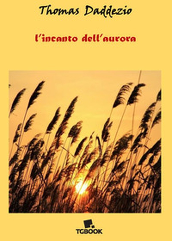 L'incanto dell'aurora - Librerie.coop L'incanto dell'aurora - Librerie.coop