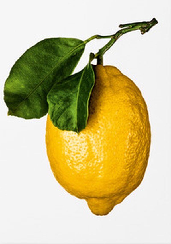 The gourmand's lemon. A collection of stories & recipes - Librerie.coop The gourmand's lemon. A collection of stories & recipes - Librerie.coop