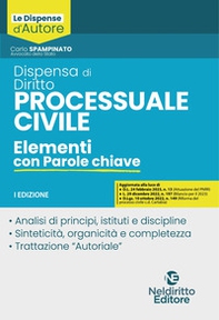 Dispensa di diritto processuale civile. Elementi con parole chiave - Librerie.coop