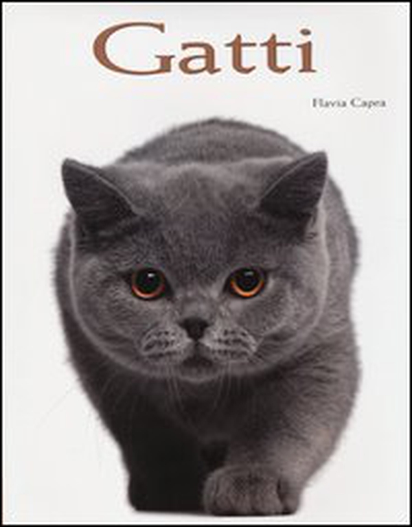 Gatti - Librerie.coop Gatti - Librerie.coop