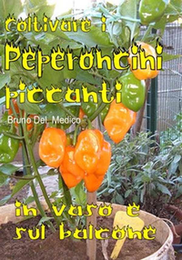 Coltivare i peperoncini piccanti in vaso e sul balcone. La collezione cult per chi ama l'orto, il giardino e la buona tavola - Librerie.coop Coltivare i peperoncini piccanti in vaso e sul balcone. La collezione cult per chi ama l'orto, il giardino e la buona tavola - Librerie.coop
