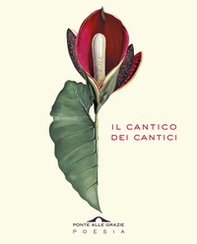 Il cantico dei cantici. Testo ebraico a fronte - Librerie.coop