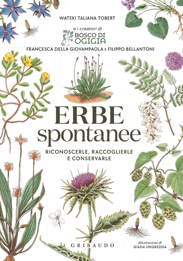 Erbe spontanee - Librerie.coop Erbe spontanee - Librerie.coop