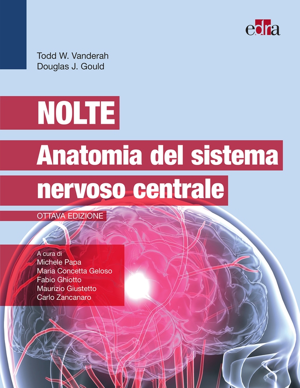 Nolte - Anatomia del sistema nervoso centrale - Librerie.coop Nolte - Anatomia del sistema nervoso centrale - Librerie.coop