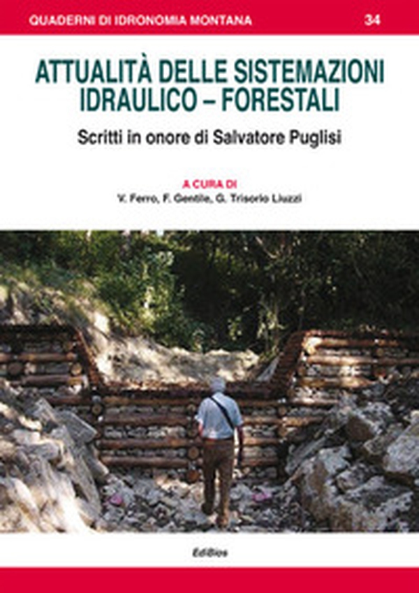 Attualità delle sistemazioni idraulico-forestali. Scritti in onore di Salvatore Puglisi - Librerie.coop Attualità delle sistemazioni idraulico-forestali. Scritti in onore di Salvatore Puglisi - Librerie.coop