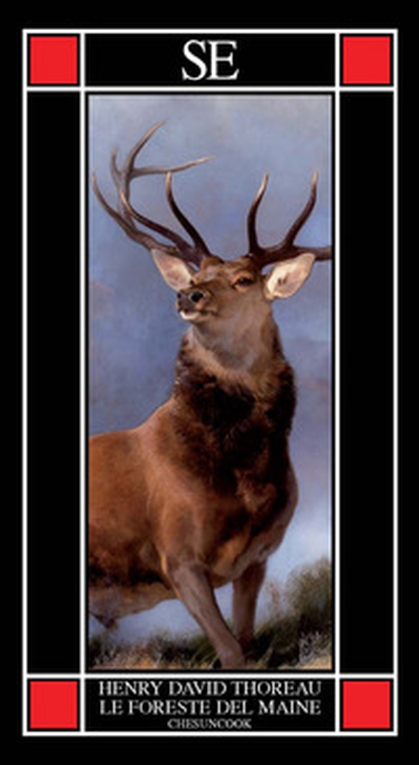 Le foreste del Maine. Chesuncook - Librerie.coop Le foreste del Maine. Chesuncook - Librerie.coop