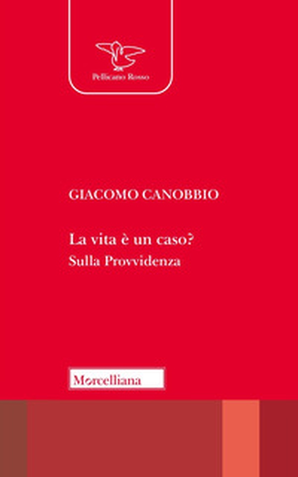 La vita è un caso? Sulla Provvidenza - Librerie.coop La vita è un caso? Sulla Provvidenza - Librerie.coop