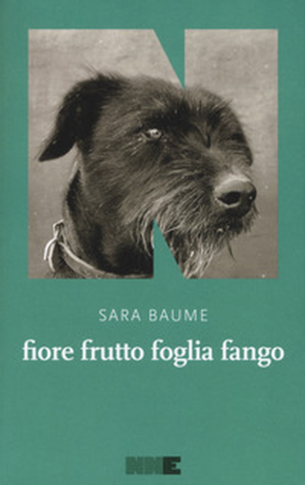 Fiore frutto foglia fango - Librerie.coop Fiore frutto foglia fango - Librerie.coop