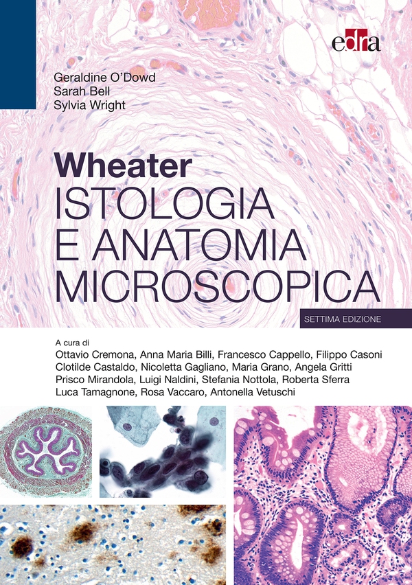 Wheater Istologia e anatomia microscopica, 7 ed - Librerie.coop